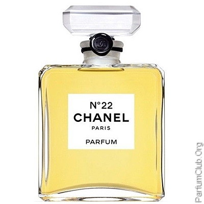 Chanel 22